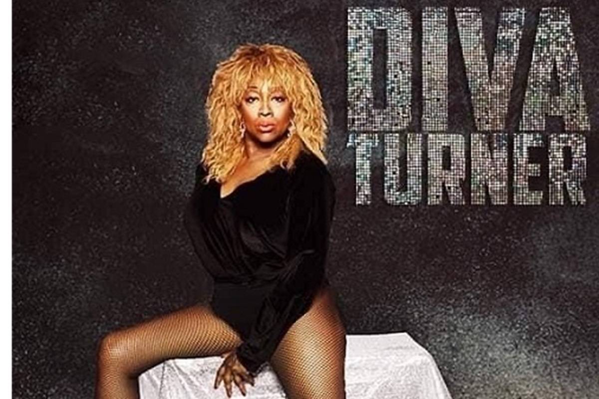 Tina Turner Tribute Diva Turner
